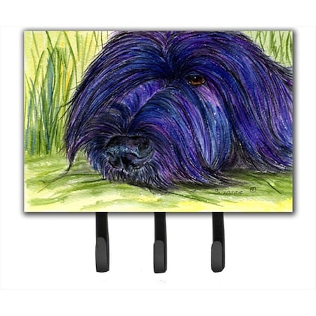 Carolines Treasures Briard Leash Holder or Key Hook SS8520TH68